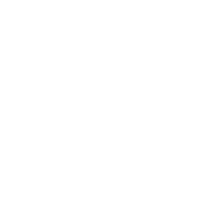 Phone-icon-white-png