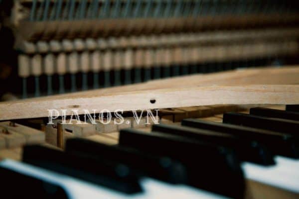Sửa đàn Piano điện Tại Nhà Hà Nội
