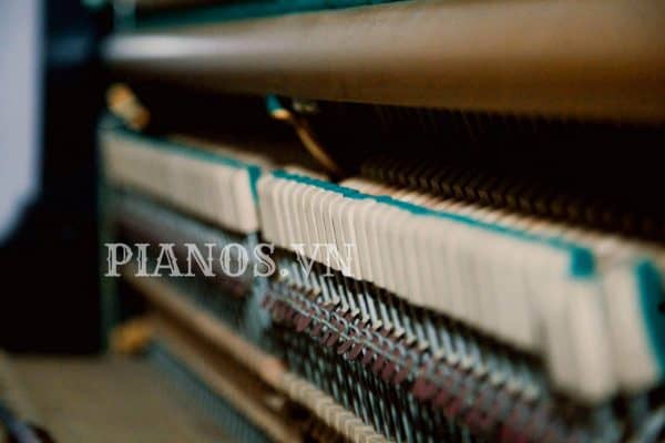 Sửa đàn Piano Tại Nhà