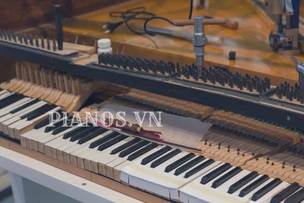 Sửa đàn Piano điện Hà Nội